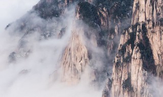 张大千擅长画什么（张大千擅长画什么画）