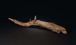 沉香的功效与作用(沉香的功效与作用与主治与用量)