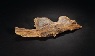 沉香的作用与功效（沉香的作用与功效用量）