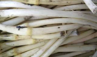 藕尖怎么洗 藕尖怎么洗白