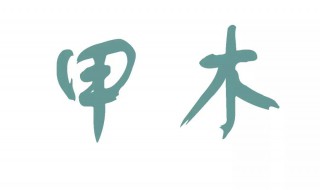 属木的字有哪些（属木的字有哪些十画的）
