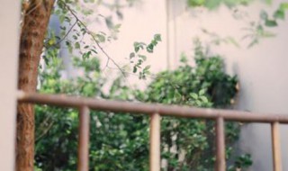 憨憨是什么意思网络用语 憨憨是什么意思网络用语怎么说