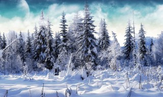 适合春天下雪又打雷的朋友圈（春天下雪打雷说说）