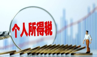 个人所得怎样退税（个人所得怎样退税流程）