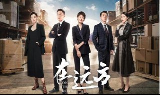 电视剧远方剧情分集介绍（电视剧远方演员表）