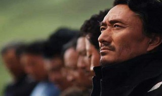 电影可可西里的故事原型是什么 可可西里的真实故事