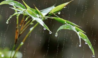 关于雨的诗 关于雨的诗 古诗