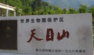 天目山在哪里（中国有几个天目山在哪里）