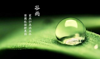谷雨的寓意 谷雨的寓意和象征