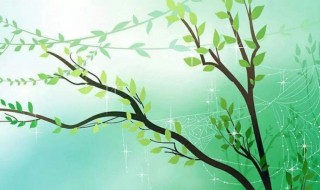 关于柳树的诗句（关于柳的诗句）