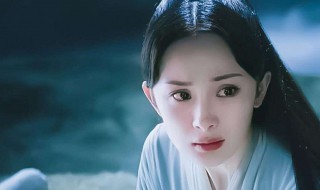 斛珠夫人主要讲了什么（斛珠夫人主要讲什么内容）