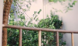 期待着你的回来我的小宝贝是什么歌（期待着你的回来我的小宝贝是什么歌曲）