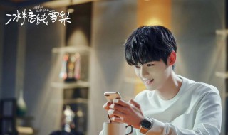 冰糖炖雪梨喻言扮演者 冰糖炖雪梨喻言扮演者周历杰