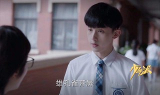 少年派大结局是什么 少年派大结局是怎样
