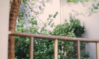 前路漫漫雨纷纷谁在痴痴等什么歌（前路漫漫雨纷纷谁在痴痴等什么歌词）