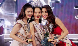 ts是代表什么意思