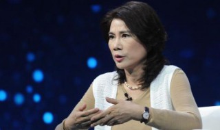 董明珠个人简短经历 董明珠的个人资料详细 简介