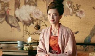 清平乐电视剧剧情介绍 清平乐电视机剧情介绍