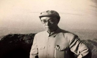 田汉简介（田汉简介及作品）
