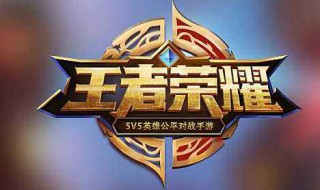 王者荣耀伤害最大的法师（王者荣耀伤害最大的法师英雄）