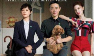 安家大结局是什么（安家大结局是什么意思?没看明白）