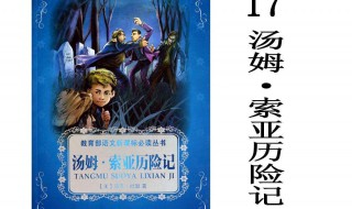 汤姆索亚历险记梗概500字（汤姆索亚历险记梗概500字左右）