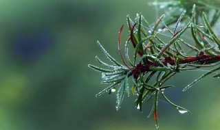 一场秋雨一场寒下一句（一场秋雨一场寒下一句搞笑）