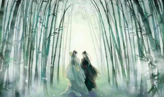 魔道祖师动漫配音表（魔道祖师动漫 配音）