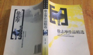 徐志摩代表作（徐志摩代表作品诗歌）