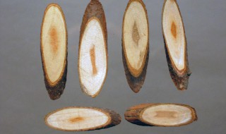 桂枝功效与作用（桂枝功效与作用的功能与主治与用量）