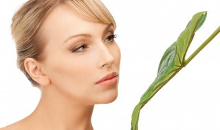 荷叶的作用(荷叶的作用与功效)