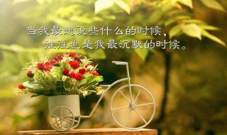 六月唯美语录 六月唯美短句