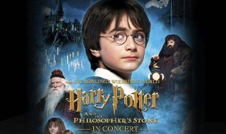 哈利波特与魔法石读后感（哈利波特与魔法石读后感600字左右）