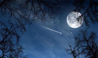 千里共婵娟是指爱情吗 但愿人长久千里共婵娟表达的感情