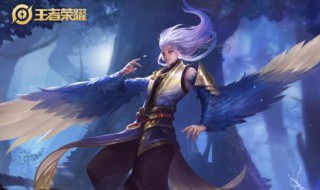 云中君怎么玩 云中君怎么玩连招