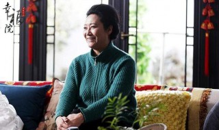 幸福院演员表 电视剧幸福院演员表