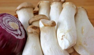 怎么洗杏鲍菇 如何洗杏鲍菇