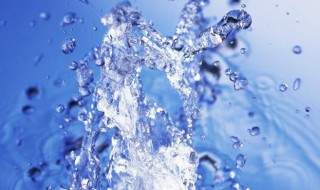 上海水费网上缴费（上海水费网上缴费方式）