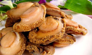 干鲍鱼怎么处理肚子 干鲍鱼怎么清洗内脏图解