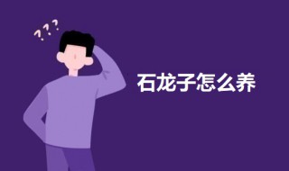 石龙子的养殖方法(石龙子的养殖方法视频)