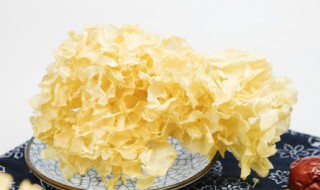 丑耳与银耳的区别（丑耳与银耳的区别 营养价值）