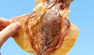 墨鱼干如何吃 墨鱼干如何吃效果最好