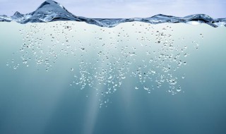 水费用户编号在哪里查（水费用户编号在哪里查）