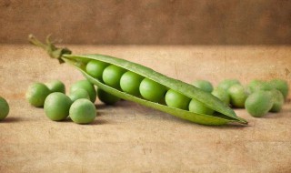 豌豆热量 豌豆热量高吗