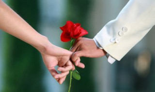 随遇而安在感情的意思 随遇而安在感情上指的是什么意思