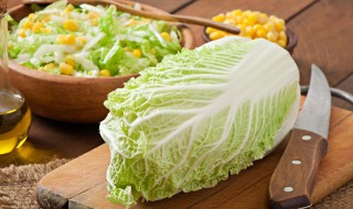 猪肉煮菜技巧（猪肉煮菜技巧视频）