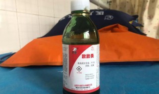 敌敌畏多长时间挥发掉（敌敌畏多长时间挥发掉在菜地）