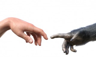 达尔文的论断（达尔文什么论）