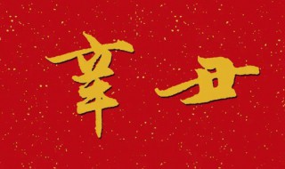 辛丑年是哪一年（辛丑年是哪一年属什么）