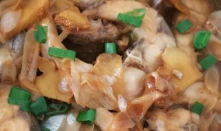 广东焖鱼怎么做(广东焖鱼的做法大全)